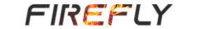 Logo Footer